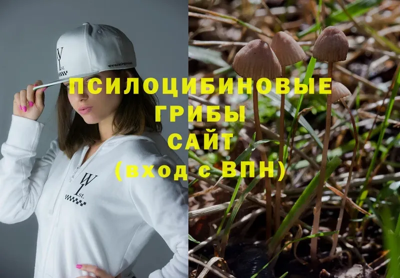 Псилоцибиновые грибы Magic Shrooms  Изобильный 